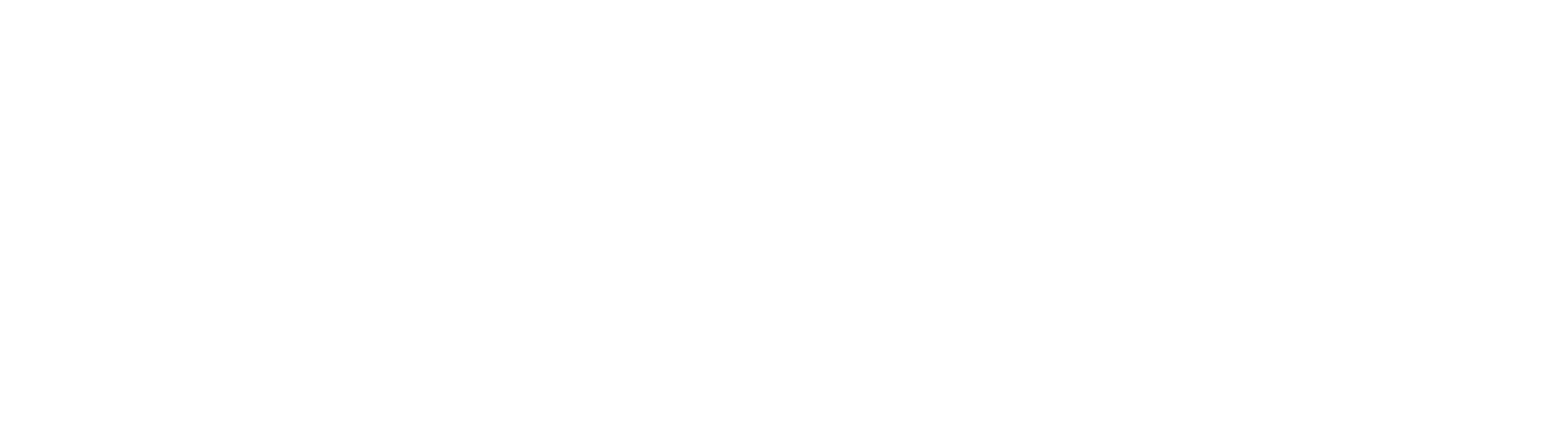 zy-pkg logo-01